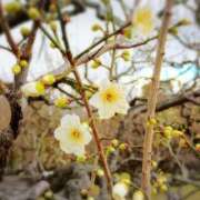 ヒメ日記 2025/02/10 17:01 投稿 知念もみじ 大阪ぽっちゃり妻 谷九店