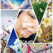 ヒメ日記 2025/02/11 13:10 投稿 知念もみじ 大阪ぽっちゃり妻 谷九店