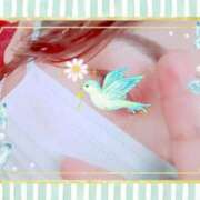 ヒメ日記 2025/02/22 10:33 投稿 知念もみじ 大阪ぽっちゃり妻 谷九店