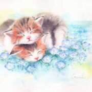 ヒメ日記 2025/03/06 22:26 投稿 知念もみじ 大阪ぽっちゃり妻 谷九店