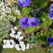 ヒメ日記 2025/03/22 23:52 投稿 知念もみじ 大阪ぽっちゃり妻 谷九店