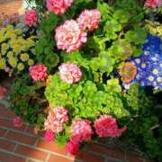 ヒメ日記 2025/03/22 23:57 投稿 知念もみじ 大阪ぽっちゃり妻 谷九店