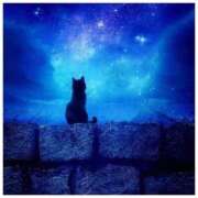 ヒメ日記 2025/03/27 23:47 投稿 知念もみじ 大阪ぽっちゃり妻 谷九店