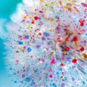 ヒメ日記 2025/03/30 23:11 投稿 知念もみじ 大阪ぽっちゃり妻 谷九店