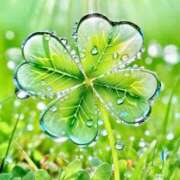 ヒメ日記 2025/04/05 23:01 投稿 知念もみじ 大阪ぽっちゃり妻 谷九店