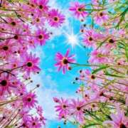 ヒメ日記 2025/04/12 09:02 投稿 知念もみじ 大阪ぽっちゃり妻 谷九店