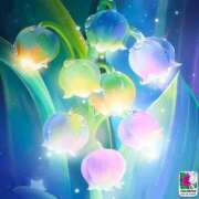 ヒメ日記 2025/04/17 14:26 投稿 知念もみじ 大阪ぽっちゃり妻 谷九店