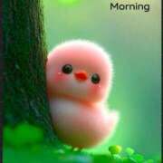 ヒメ日記 2025/04/18 08:22 投稿 知念もみじ 大阪ぽっちゃり妻 谷九店