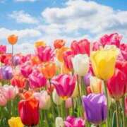 ヒメ日記 2025/04/19 09:02 投稿 知念もみじ 大阪ぽっちゃり妻 谷九店