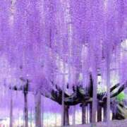 ヒメ日記 2025/04/22 15:03 投稿 知念もみじ 大阪ぽっちゃり妻 谷九店