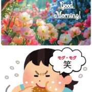 ヒメ日記 2025/05/29 12:02 投稿 知念もみじ 大阪ぽっちゃり妻 谷九店