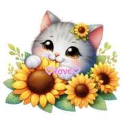 ヒメ日記 2025/07/04 15:02 投稿 知念もみじ 大阪ぽっちゃり妻 谷九店