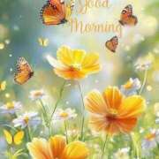 ヒメ日記 2025/09/02 11:01 投稿 知念もみじ 大阪ぽっちゃり妻 谷九店