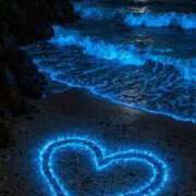 ヒメ日記 2025/09/11 20:31 投稿 知念もみじ 大阪ぽっちゃり妻 谷九店