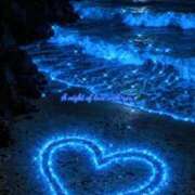 ヒメ日記 2025/09/29 19:01 投稿 知念もみじ 大阪ぽっちゃり妻 谷九店