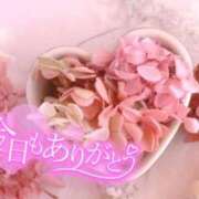 ヒメ日記 2025/06/15 01:30 投稿 そら ギン妻パラダイス 堺東店