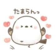 ヒメ日記 2025/06/22 14:06 投稿 そら ギン妻パラダイス 堺東店