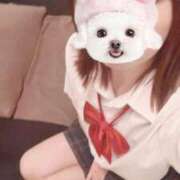 ヒメ日記 2025/07/24 11:07 投稿 めめ Sナース女学園