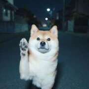 ヒメ日記 2025/08/19 22:20 投稿 五十嵐ちり HANABI(福富町)