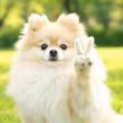 ヒメ日記 2025/08/22 20:25 投稿 五十嵐ちり HANABI(福富町)