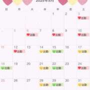 ヒメ日記 2025/04/26 21:36 投稿 セリカ Ageha(アゲハ)