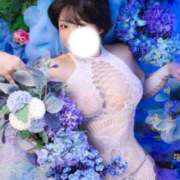 ヒメ日記 2025/10/26 21:50 投稿 セリカ Ageha(アゲハ)