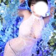 ヒメ日記 2025/10/30 21:50 投稿 セリカ Ageha(アゲハ)