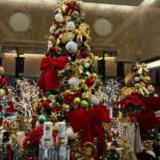 ヒメ日記 2025/11/24 19:00 投稿 セリカ Ageha(アゲハ)