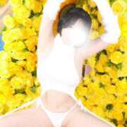 ヒメ日記 2026/04/24 18:00 投稿 セリカ Ageha(アゲハ)