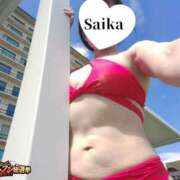 ヒメ日記 2025/11/20 12:38 投稿 さいか 東京妻