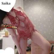 ヒメ日記 2025/11/23 08:30 投稿 さいか 東京妻