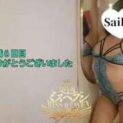 ヒメ日記 2025/11/24 03:08 投稿 さいか 東京妻