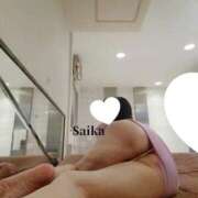 ヒメ日記 2026/02/09 01:28 投稿 さいか 東京妻