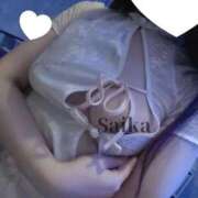 ヒメ日記 2026/03/31 16:48 投稿 さいか 東京妻