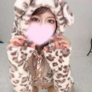 こまち お久しぶりです😊 帯広アニバーサリー