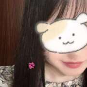 ヒメ日記 2025/05/23 14:08 投稿 葵 ダイバーシティ錦糸町 蘭の会