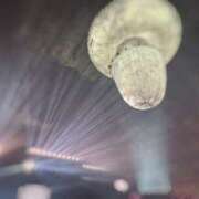 ヒメ日記 2025/03/07 10:39 投稿 くみ 所沢デリヘル桜