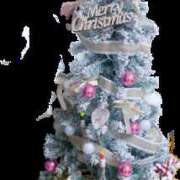 ヒメ日記 2025/11/20 20:40 投稿 くみ 所沢デリヘル桜