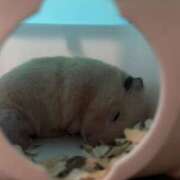 ヒメ日記 2026/08/01 22:03 投稿 くみ 所沢デリヘル桜