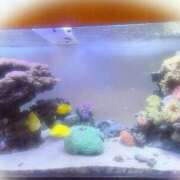 ヒメ日記 2025/07/06 10:44 投稿 ゆうな 池袋おかあさん