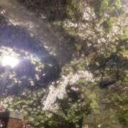 ヒメ日記 2026/04/02 00:45 投稿 ゆうな 池袋おかあさん