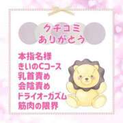 ヒメ日記 2025/03/02 17:20 投稿 きい 優しいM性感 五反田