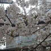 ヒメ日記 2025/03/31 20:50 投稿 きい 優しいM性感 五反田