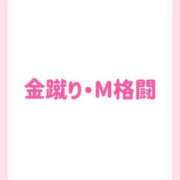 ヒメ日記 2025/04/05 10:20 投稿 きい 優しいM性感 五反田