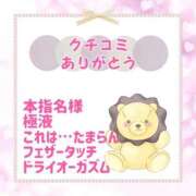 ヒメ日記 2025/07/25 20:50 投稿 きい 優しいM性感 五反田