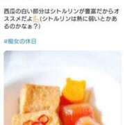 ヒメ日記 2025/07/27 10:20 投稿 きい 優しいM性感 五反田