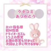 ヒメ日記 2025/07/31 12:22 投稿 きい 優しいM性感 五反田