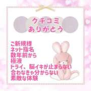 ヒメ日記 2025/08/14 22:50 投稿 きい 優しいM性感 五反田