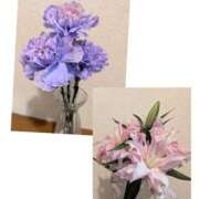 ヒメ日記 2025/09/19 20:50 投稿 きい 優しいM性感 五反田