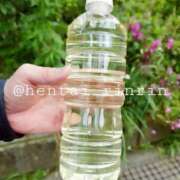 ヒメ日記 2025/10/20 22:10 投稿 きい 優しいM性感 五反田